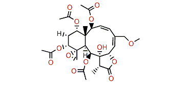 Gemmacolide N